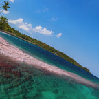 Reloj Bulova Snorkel - 98B449